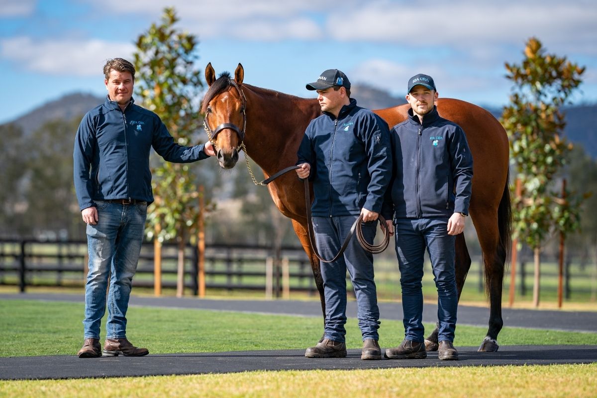 Future s Bright For Growing Kia Ora Stud Kia Ora Stud