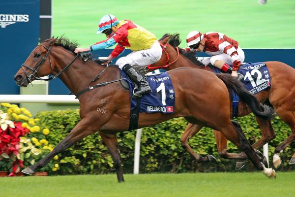 All Too Hard's Wellington A Class Above In Hong Kong Sprint 